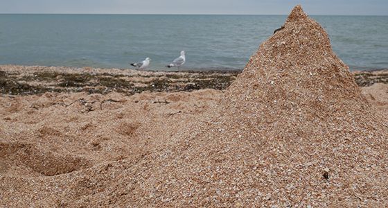 Пляж на Арабатской стрелке в Счастливцево фото