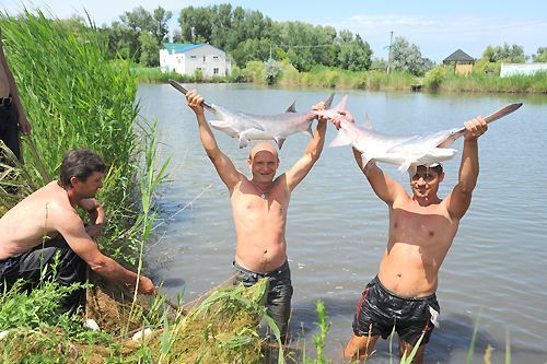 Рыбалка в Луганской области 