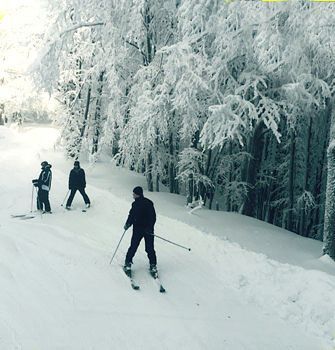 Отдых в Карпатах недорого