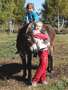 База отдыха в Черниговской области