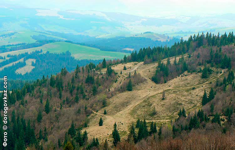 Карпаты высокогорье фото