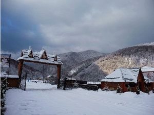 жилье в Закарпатье цены