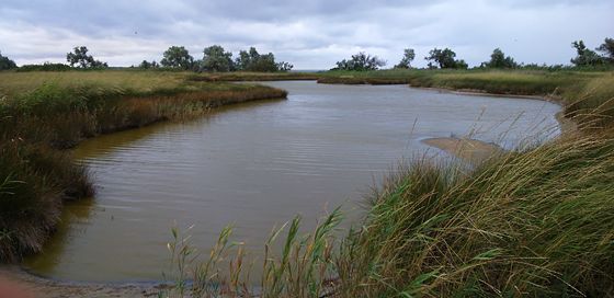 Отдых в палатке у моря