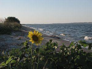 Палаточный городок у моря