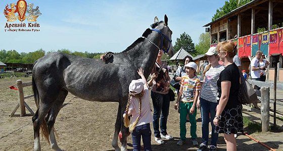 Парк Киевская Русь фото территории