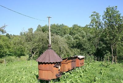 Отдых в Косове Карпаты, усадьба «Клен»