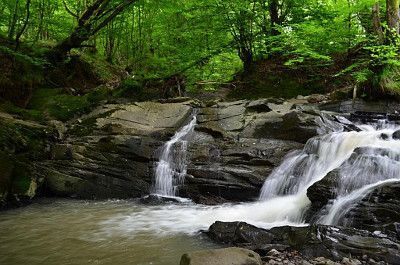 Отдых в Карпатах Ужгород, усадьба «Лесной орешек»