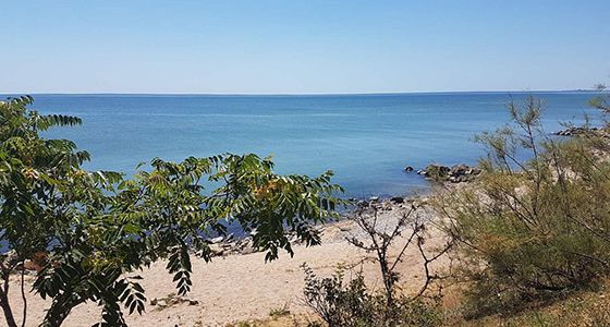 Усадьба «Золоче» Новопетровка пляж